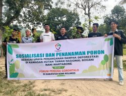 Forum Pemuda Gorontalo Gelar Penanaman Pohon dan Sosialisasi Cegah Deforestasi di Taman Nasional Bogani Nani Wartabone