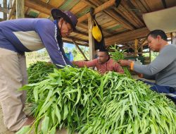 Warga Binaa Lapas Pohuwato Pasok Sayuran Segar untuk Perusahaan Tambang
