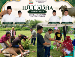 Momentum Hari Raya Idul Adha 1447 Hijriah Dewan Pengurus Wilayah Tani Merdeka Indonesia Gorontalo Berbagi Daging Kurban Bersama Kaum Dhuafa dan Anak Yatim