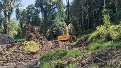 Tambang Liar di Sungai Randangan Jadi Sorotan, Pemuda Peduli Lingkungan Minta Pemerintah Bertindak Tegas