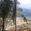 Aktivitas PETI di Molosipat Utara Kembali Disorot, Publik Pertanyakan Pengawasan