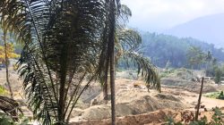 Aktivitas PETI di Molosipat Utara Kembali Disorot, Publik Pertanyakan Pengawasan