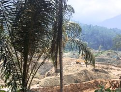 Aktivitas PETI di Molosipat Utara Kembali Disorot, Publik Pertanyakan Pengawasan