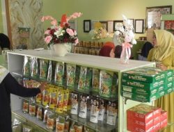 Inspiratif, Bermodalkan Ide, Kini Miliki Usaha Keripik Pisang Goroho Hingga Kuasi Pasar Lokal